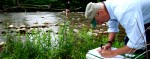E. coli at two Williams River spots 10 times above acceptable level