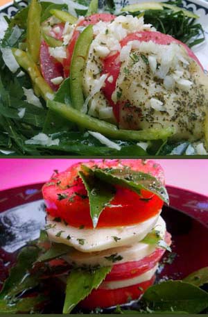 YC-Cretan Salad 1 copy