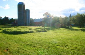 A view from the rear of the Walker Farm property. The new theater and parking would be built in this space. Photos by Cynthia Prairie