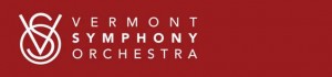 VSO Logo