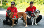 Dogs search again for missing Andover woman to no avail
