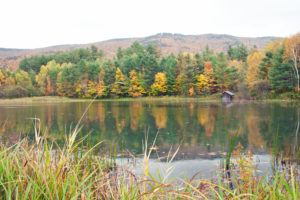Magic Mountain will get to use its snowmaking pond this season but will take if "off stream" next year.