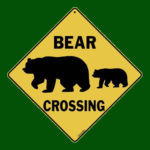Avoiding bear, driver crashes truck in Londonderry