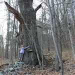 Chester Conservation Committee holds photo contest
