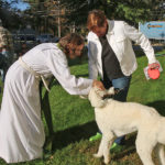 St. Luke's holds blessing of animals
