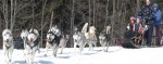 Weather-related Schedule Changes to Chester Winter Carnival