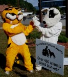 Pause to walk for Humane Society's Paws About Springfield