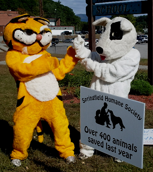 Springfield humane walk a thon