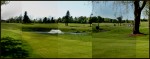 2012 Rotary Golf Tourney to aid Chester Emergency Services