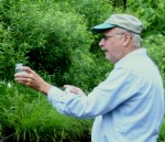 E. coli levels drop at Chester sites; two remain above acceptable levels