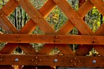Bridge building