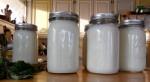 Election Day bake sales; Lenten worship services; VTica potluck; diabetes program; raw milk meetings; hands-on demonstrations; free tobacco cessation course