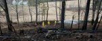 Sugar house spark ignites hillside fire