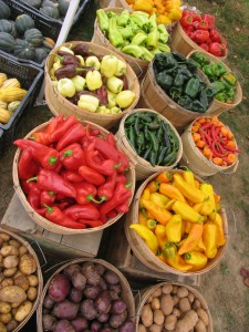 Summer vegetables from Deep Meadow Farm/Photo by Christa Valente