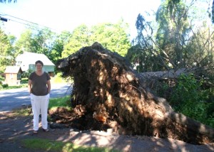 Charlea Baker stands at the roots of her upended spruce, that came down during storms on Monday, June 17./Photo submitted.