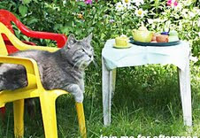 Tea with Silvio the Cat at Bonnie's Bundles.