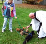 October filled with holiday crafts, blessing of the pets, arts and charity events
