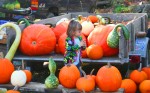 West River Farmers Market ends summer season; Commuters urged to take the challenge and save