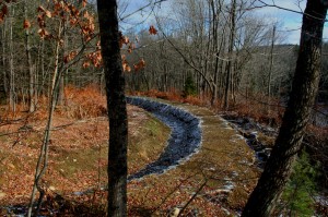 Drainage ditches and berms were dug along the embankment of the Williams River State Forest. Below and to the right is the south branch of the Williams River. Click photo to enlarge. Photos by Cynthia Prairie