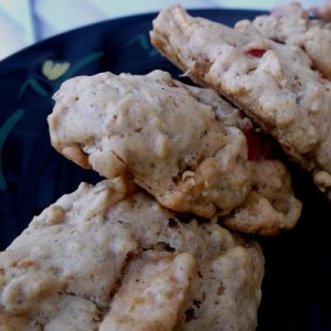 cranberryapplecrispcookies copy