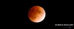 How to shadow the lunar eclipse of Tuesday, April 15