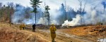 Illegal burning sets Williams Road brush fire