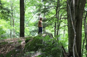 April Vacation Camps announced