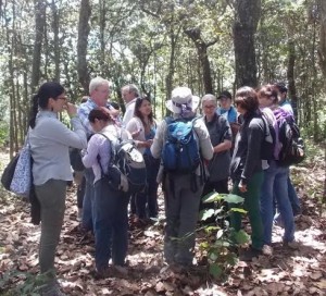 Nova Kim lead a field trip at the 7th International Workshop on Edible Mycorrhizal Mushrooms in Guatemala. Les Hook photos.
