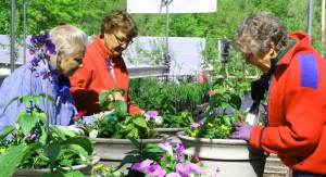 From left, Lillian Willis, Rosann Sexton and Nancy Chute check their work one final time before sending the planters on their way. Click a photo to launch the gallery. Photos by Cynthia Prairie