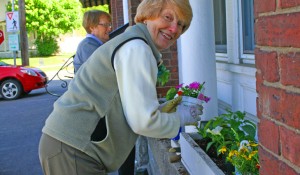 Susie Forlie, foreground, and Jane Davis work on the Town Hall window planters. 