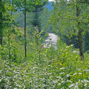 The town of Chester was hoping to move Popple Dungeon above the current roadbed, but two agencies claim this is a wetlands. Click to enlarge.