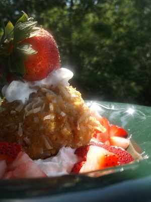 Graham cracker and coconut deep fried ice cream.