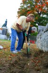 Committee plants bulbs for a brilliant spring in Chester