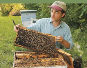 Organic Beekeeping workshop to cover overwintering and beeswax