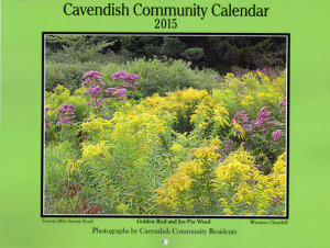 The CCCA is looking for sponsors for its 2016 calendar. Pictured above, the 2015 calendar.
