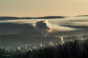 George Malin photo full
