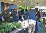 West River Farmers Market celebrates 25 years