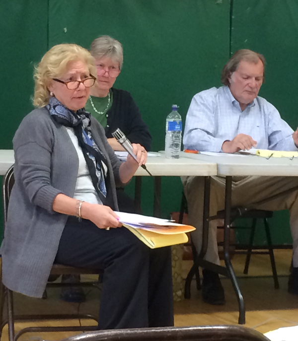 Town attorney Robin Stern addresses audience members' questions regarding the Town Plan process while Select Board members, Noralee Hall and Sam Battaglino listen.