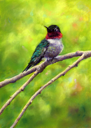 hunnibgbird