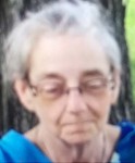 Police search for missing Andover woman