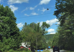 A Vermont State Police helicopter searches for Lynn Perry along Route 11 in Andover.  Photo by Leah M. Cunningham