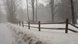 Fence in Winter by Peter LaBelle