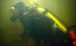 Annette Spaulding, master diver in the West River. Photo by Kristopher Radder/ Brattleboro Reformer
