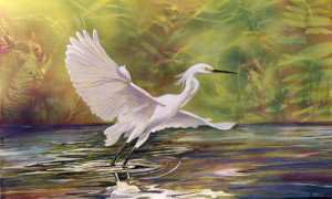 Chester resident Rick Hearn's Egret to be part of Feather & Fur: Portraits Of Field, Forest & Farm exhibit