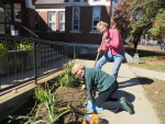 Townscape plants 1,000+ daffodils in Chester; Medicare open enrollment; Winter farmers market held in Londonderry; Sign up for Holiday Food Baskets; and Autumn Moon Committee honored