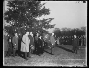 coolidge 1st nat tree