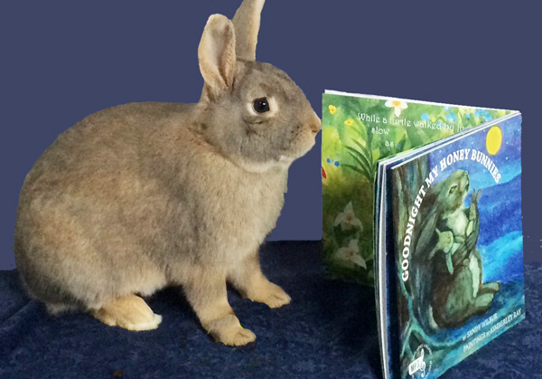 Meet the authors of "Good Night My Honey Bunnies"