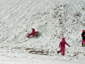 A young lady and her sled are separated at the bottom of a bumpy course. Sliding to a halt, she jumped up laughing and went back up the hill.