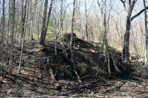The area where the fire was started.