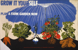 Have a garden discussion with Master Gardener Cheryl Wilfong